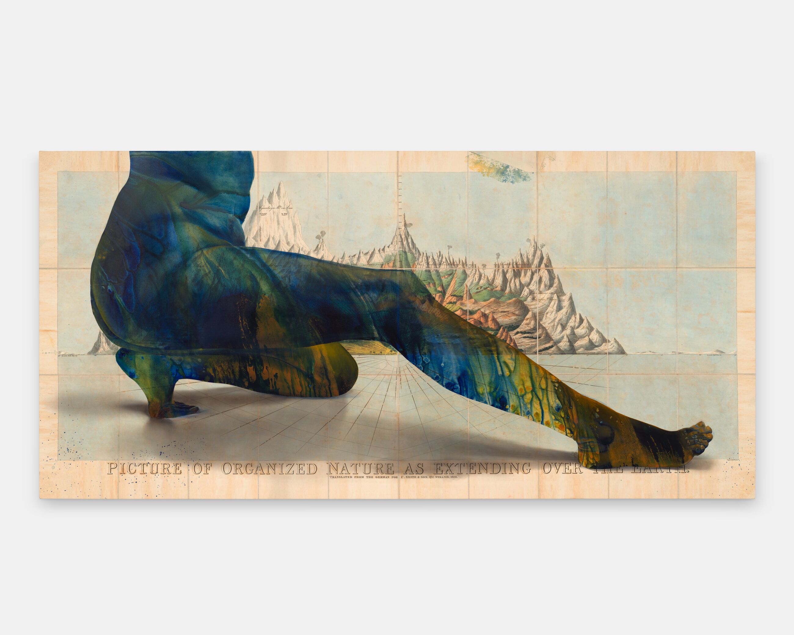 Firelei Báez. The Fact That It Amazes Me Does Not Mean I